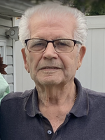 Domenico  Armano